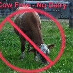 no-dairy-placeholder