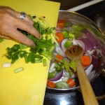 veggie-stock13